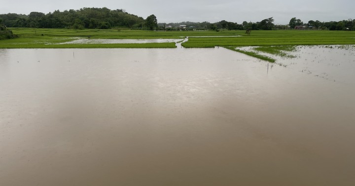 Flooded farms in Laoag City, Ilocos Norte due to Typhoon Goring.