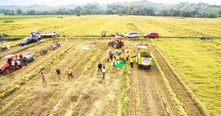 Farmers in Piddig, Ilocos Norte.