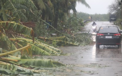 Typhoon Aghon effect