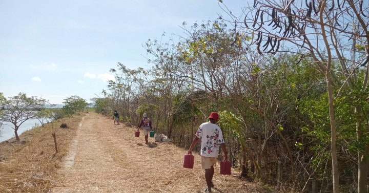 Tree planting in Iloilo